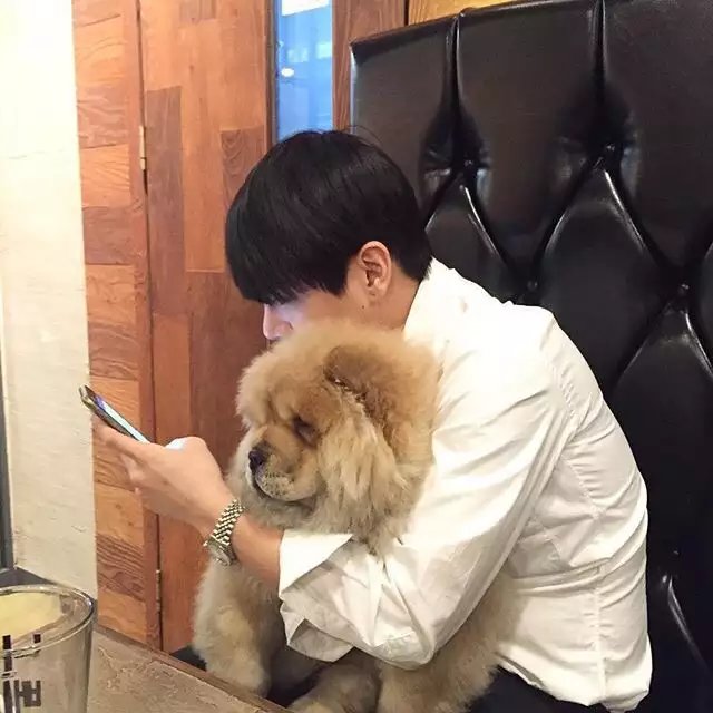 韩蓓朋瑗