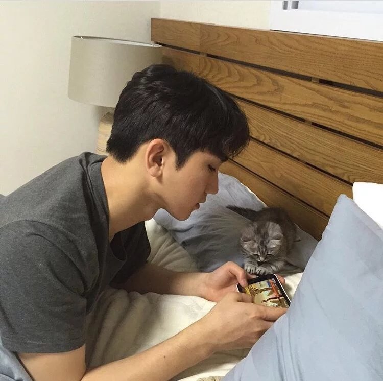 贡真刚儿