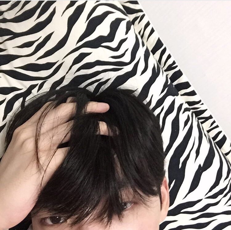 左林宝琴