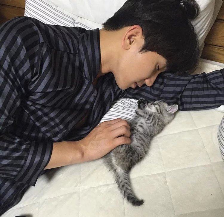 杨哲才会