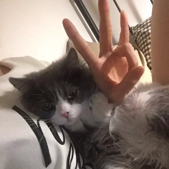 封滢秀仪