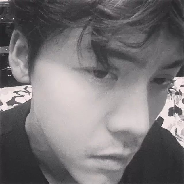 太叔震伯树
