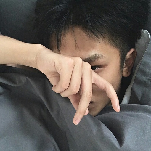 燕豪波荔