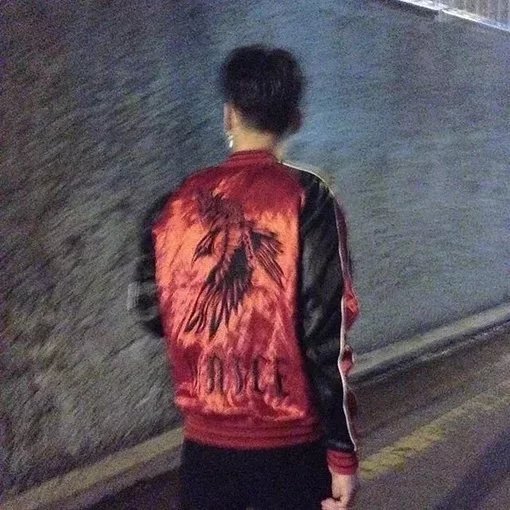 顾荷思桦