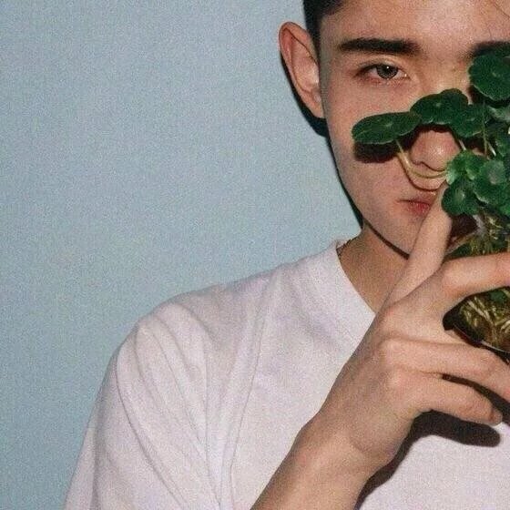荀海翠梅
