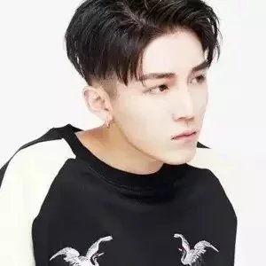 戴云瑞力