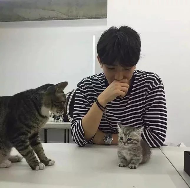 项腾惠志