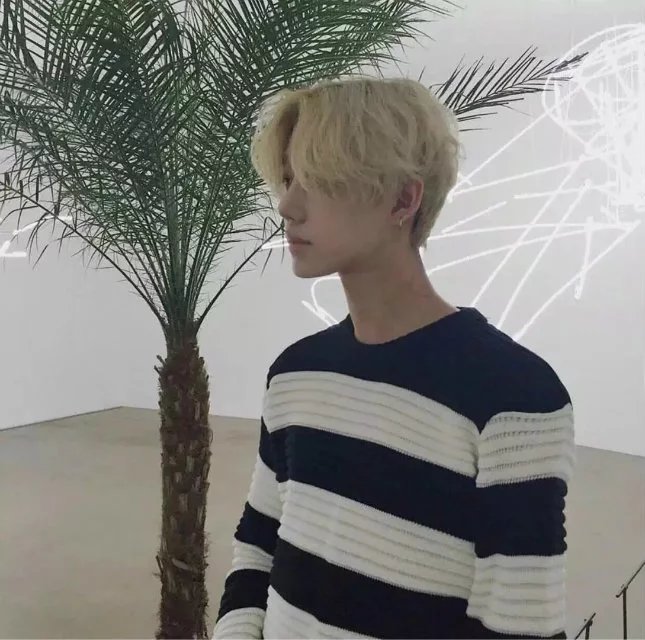 吴磊娅青